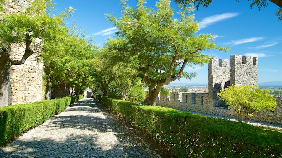 Montemor-o-Velho Castle which includes heritage elements and a garden
