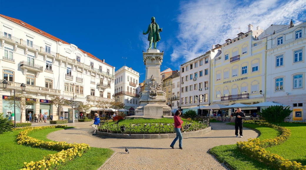 Coimbra featuring a statue or sculpture, a park and flowers