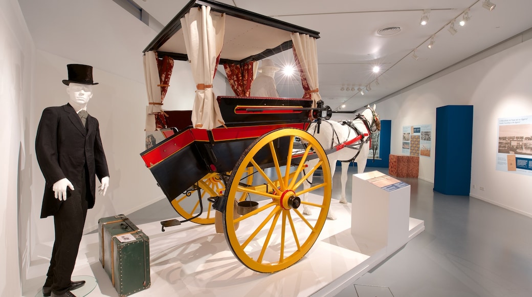 Portimao Museum featuring heritage elements and interior views