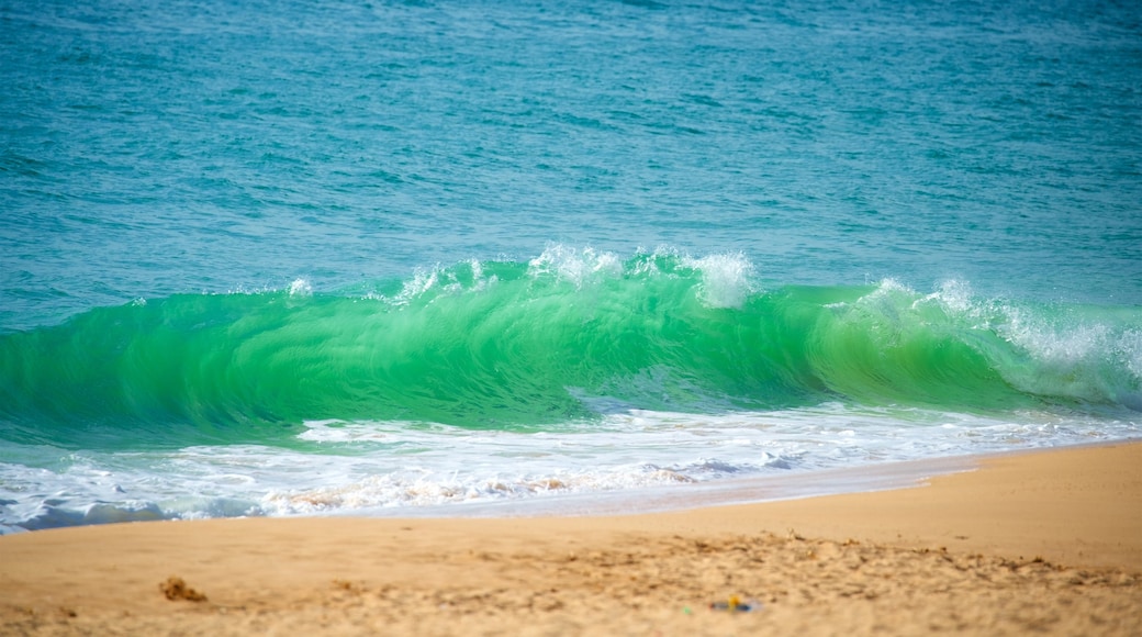 Plage de Salgados mettant en vedette plage de sable, vagues et vues littorales