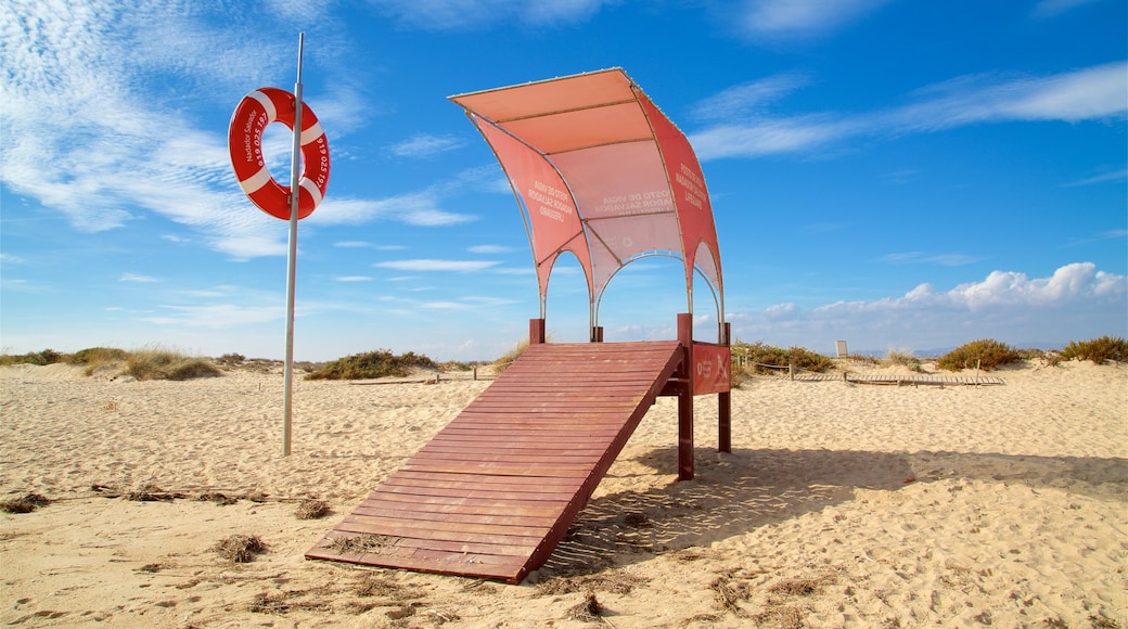 Terra Estreita Beach showing general coastal views and a beach