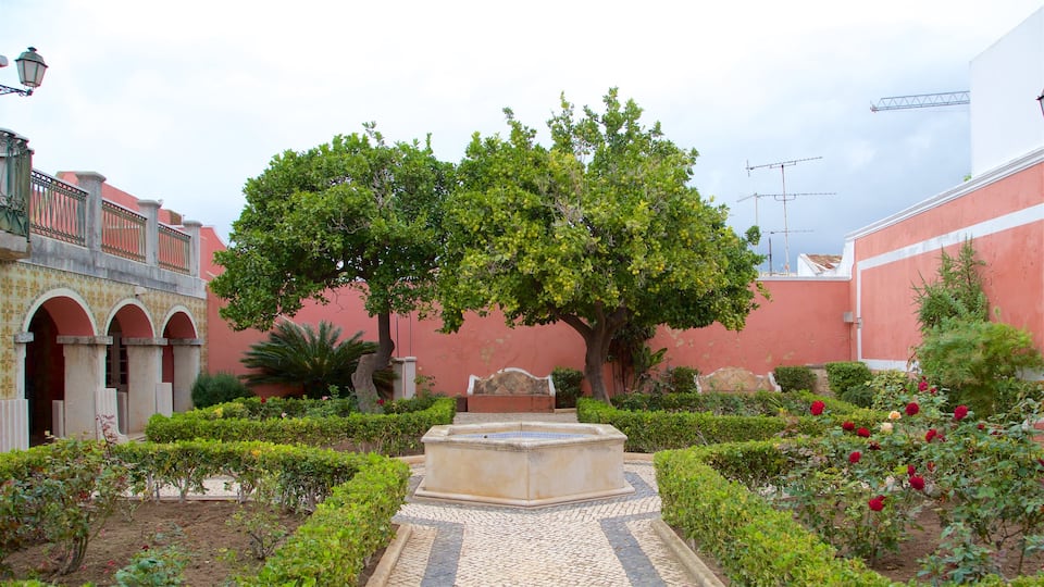 Faro Old Town showing wildflowers and a garden