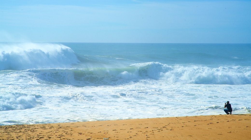 Norte Beach 이 포함 모래 해변, 일반 해안 전경 과 파도