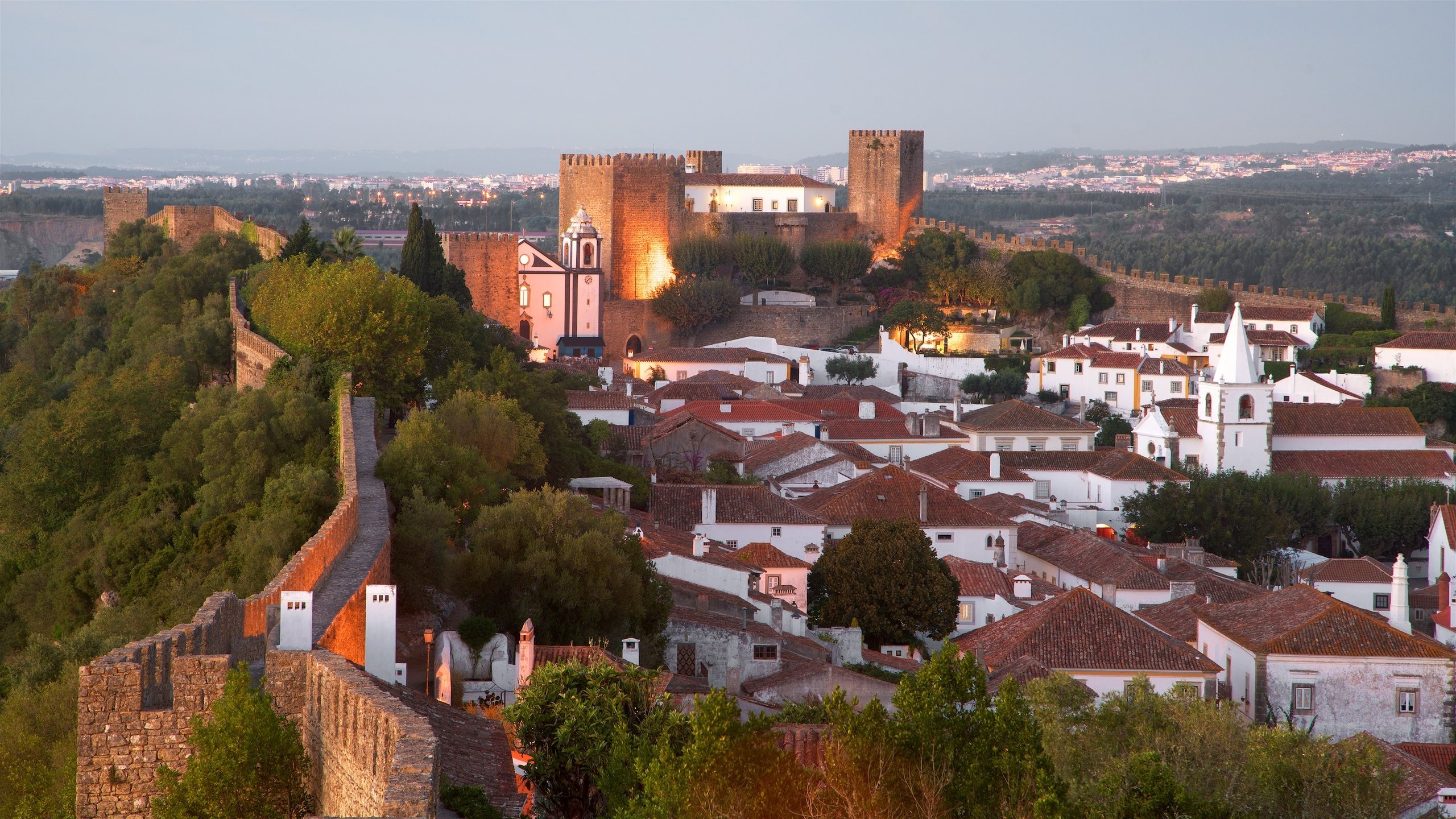 Obidos showing a city