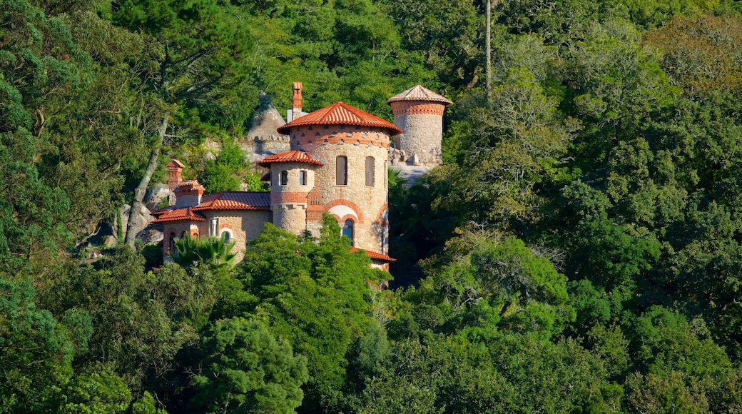 Sintra mostrando elementos patrimoniales y castillo o palacio