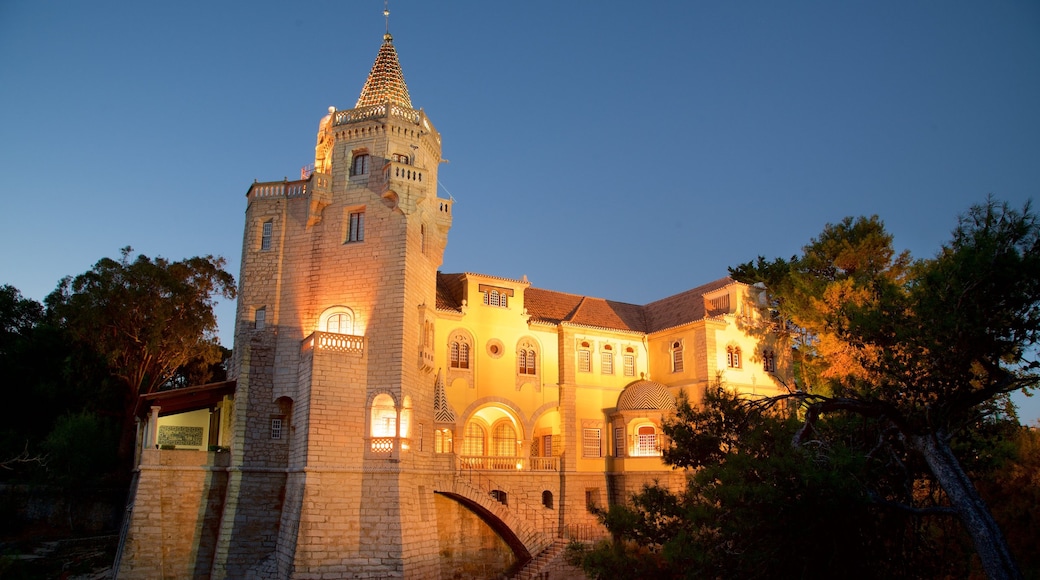 Condes de Castro Guimaraes Museum mostrando paesaggio notturno e oggetti d\'epoca