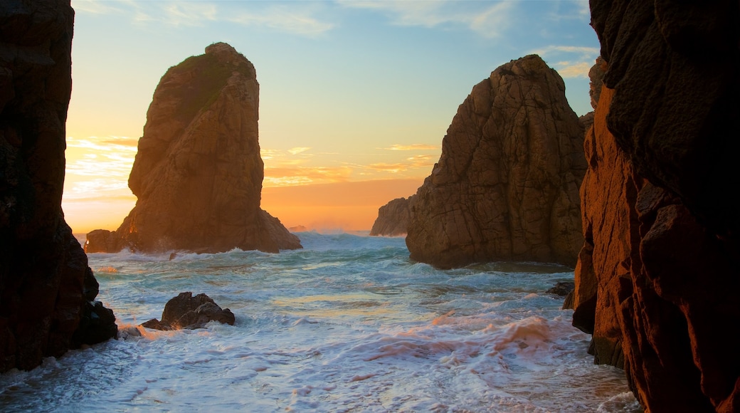 Playa Ursa