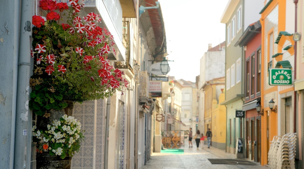 Aveiro mostrando flores