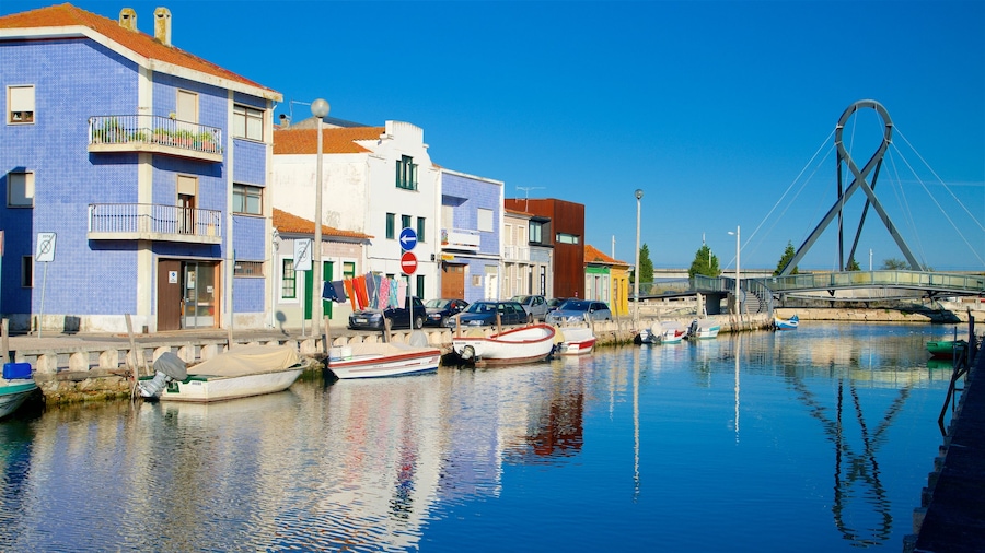 Aveiro che include fiume o ruscello