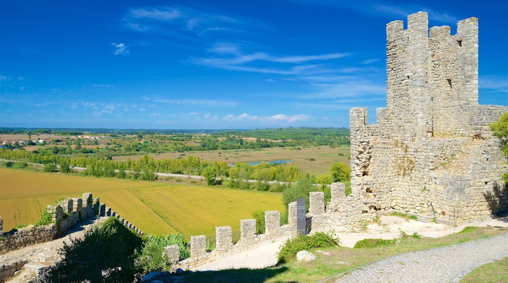 Castillo de Montemor-o-Velho mostrando una ruina, elementos patrimoniales y escenas tranquilas