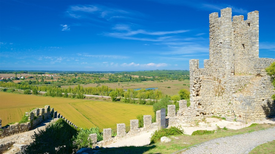 Castello di Montemor-o-Velho caratteristiche di oggetti d\'epoca, rovine di un edificio e paesaggi rilassanti