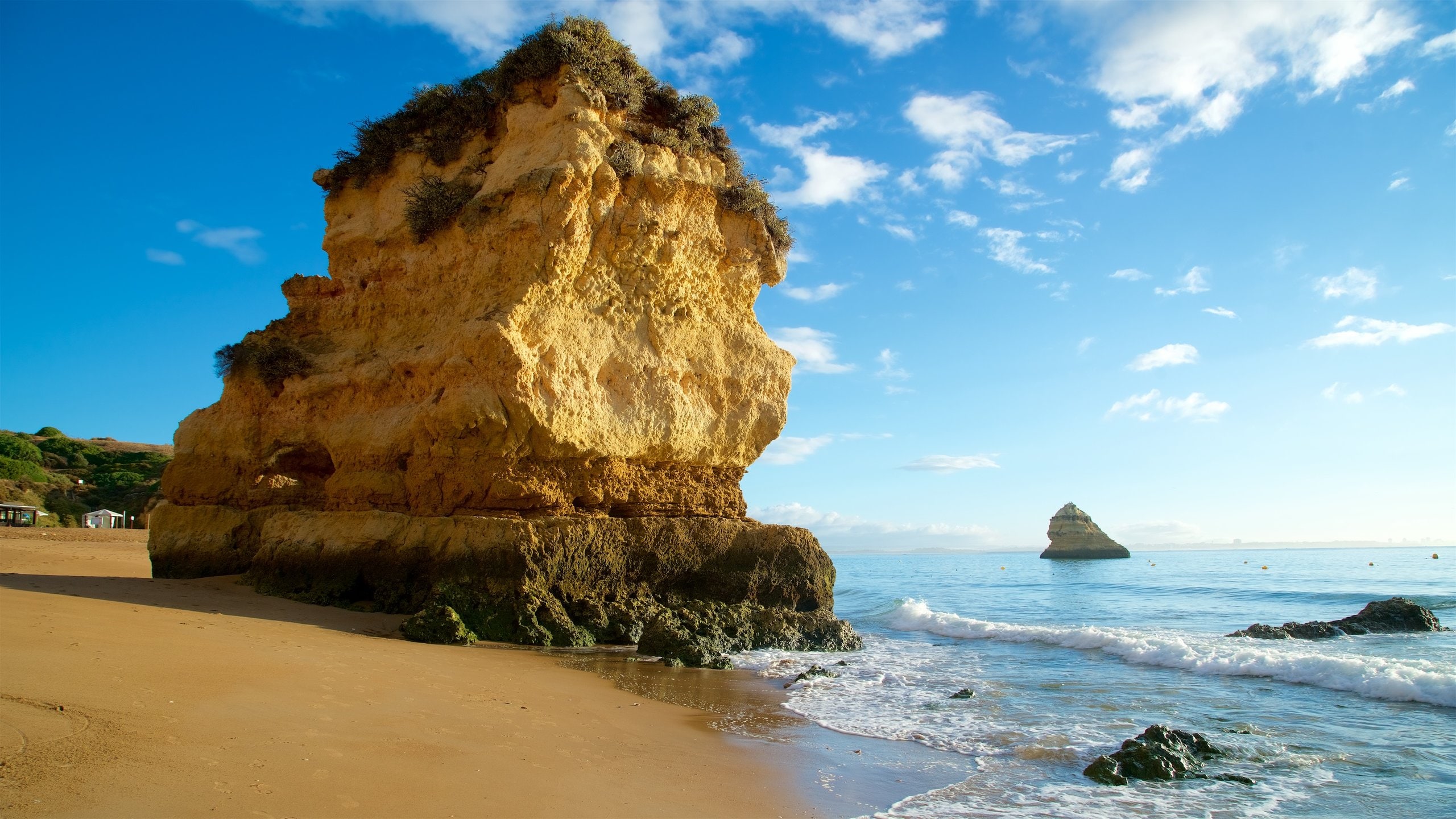 Dona Ana Beach Vacation Rentals house rentals & more Vrbo