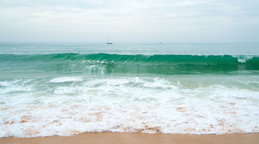 Marina Beach which includes a sandy beach, waves and general coastal views