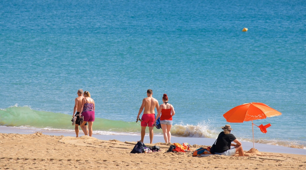 Meia Praia Beach showing a beach and general coastal views as well as a small group of people