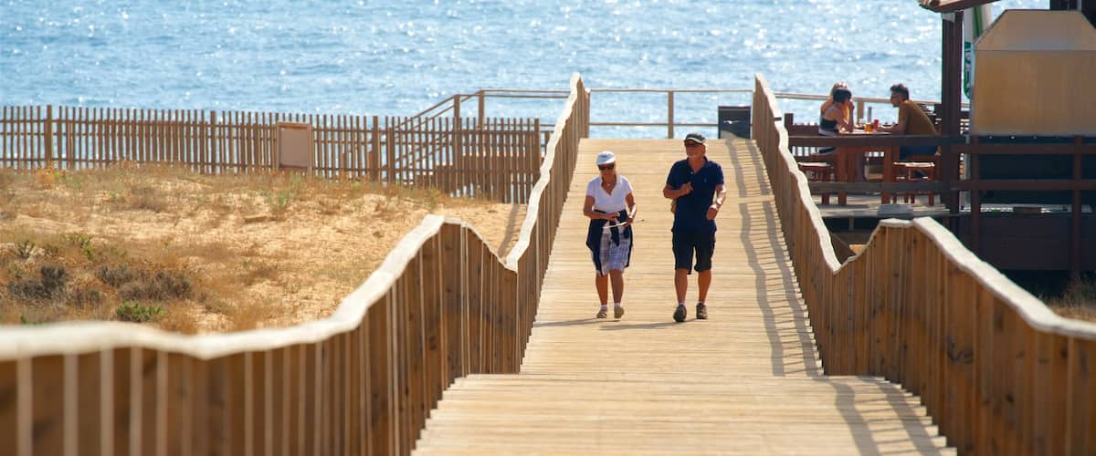 Salgados Beach which includes a bridge and general coastal views