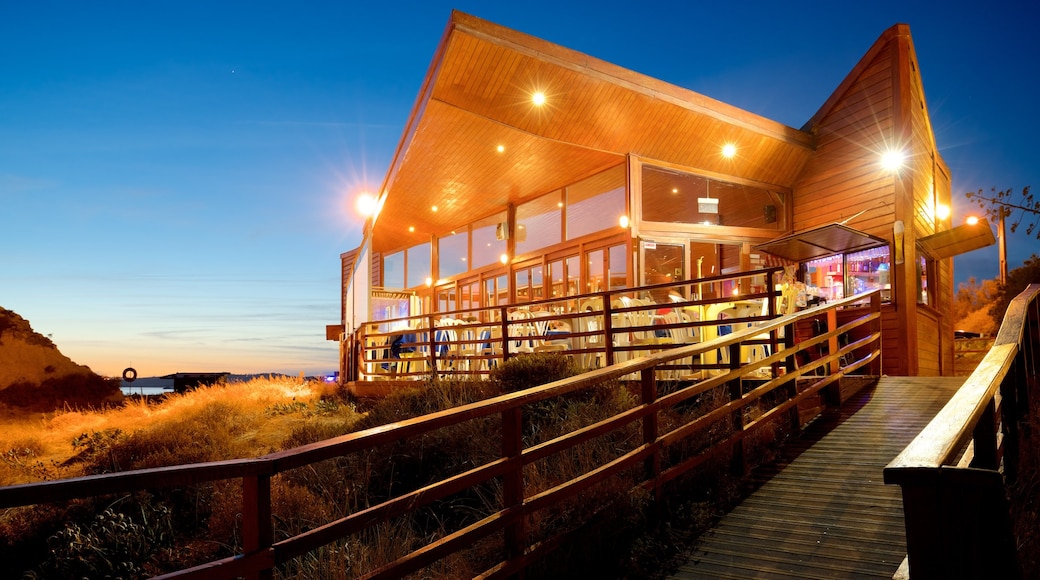 Tres Irmaos Beach featuring night scenes