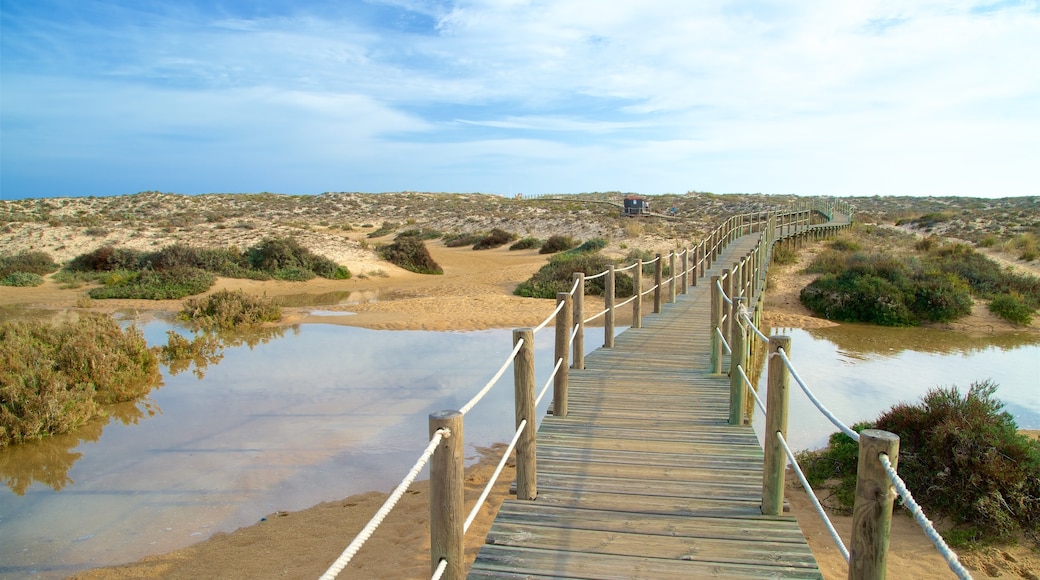 Ilha da Culatra Beach mit einem Brücke, ruhige Szenerie und Fluss oder Bach