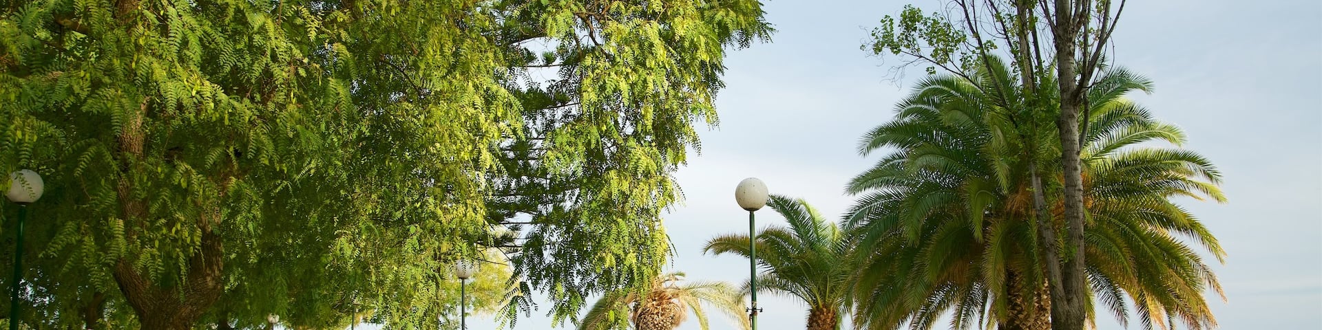 Olhao Harbour qui includes parc