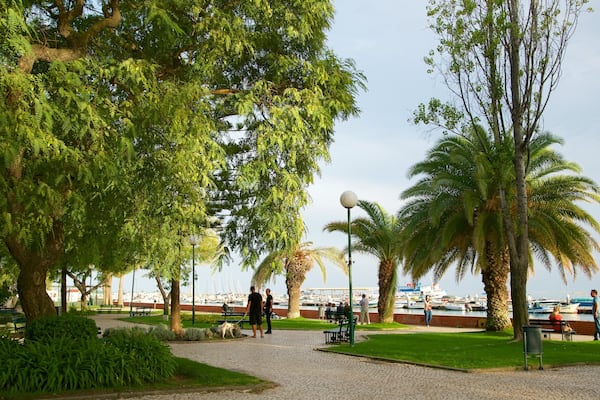 Olhao Harbour featuring a park