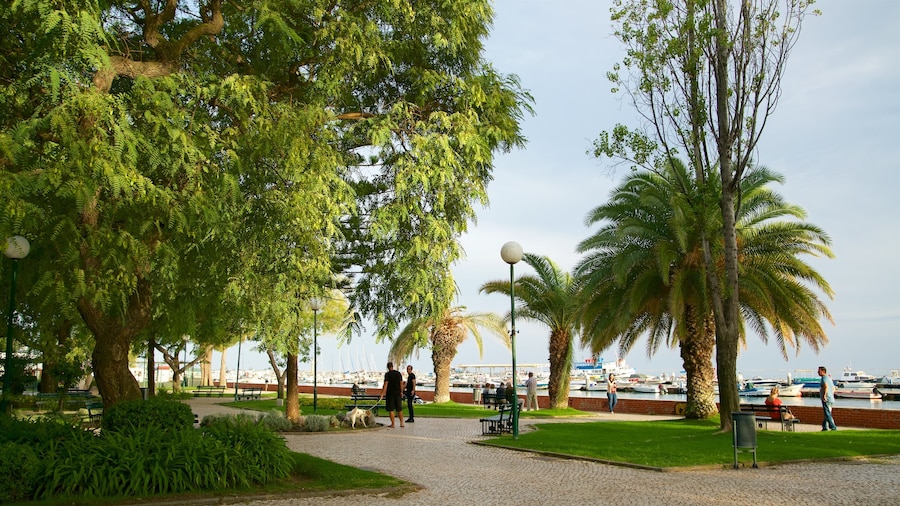 Puerto de Olhao que incluye un parque