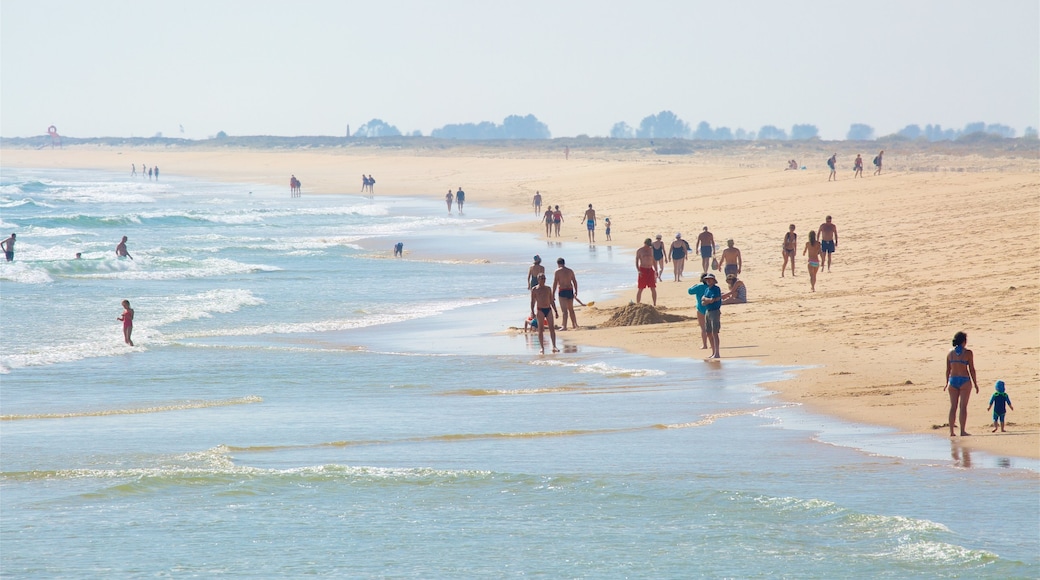 Ilha de Tavira Beach showing general coastal views, swimming and a sandy beach