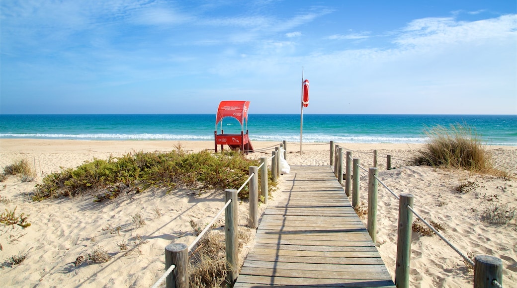 Terra Estreita Beach which includes general coastal views and a beach