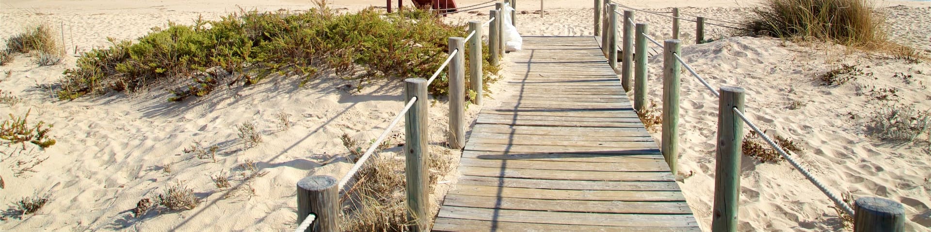 Terra Estreita Beach showing a sandy beach and general coastal views