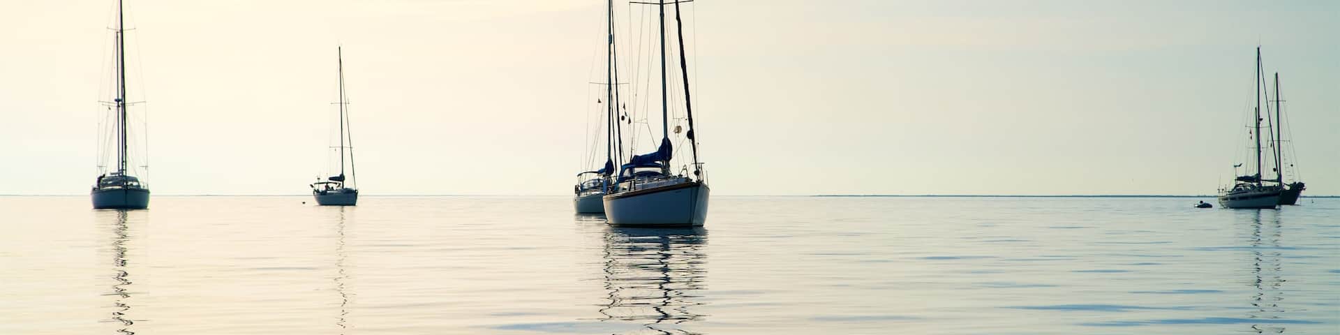 Ria Formosa Natural Park which includes general coastal views and a sunset