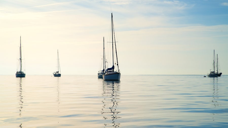 Ria Formosa Natural Park which includes general coastal views and a sunset