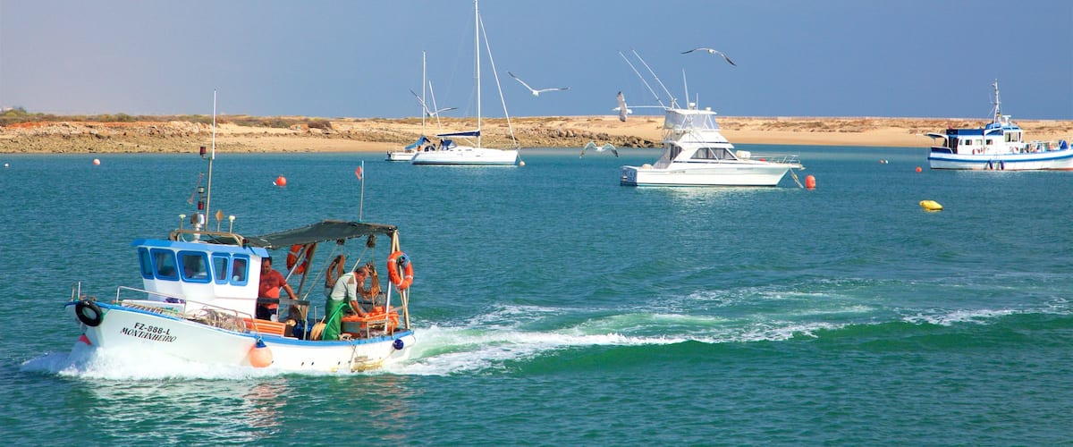 Ria Formosa Natural Park featuring general coastal views and boating