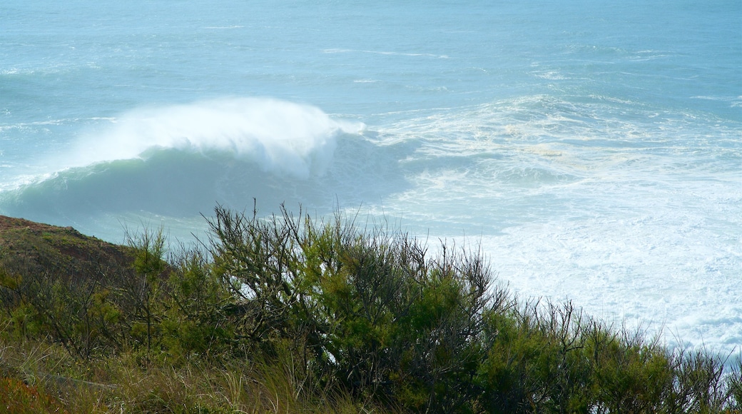 Norte Beach som inkluderar surfing och kustutsikter