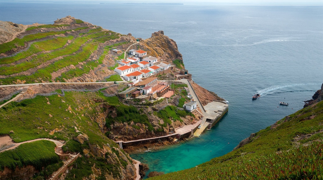 Berlenga Island showing general coastal views, tranquil scenes and rocky coastline