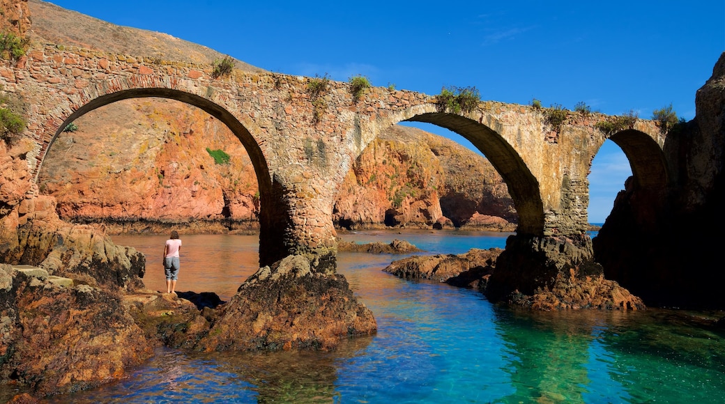 Berlenga Island mostrando oggetti d\'epoca, costa frastagliata e vista della costa