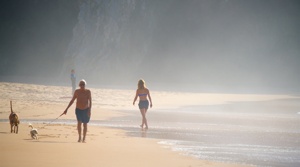 Adraga Beach inclusief een zandstrand en algemene kustgezichten en ook een man