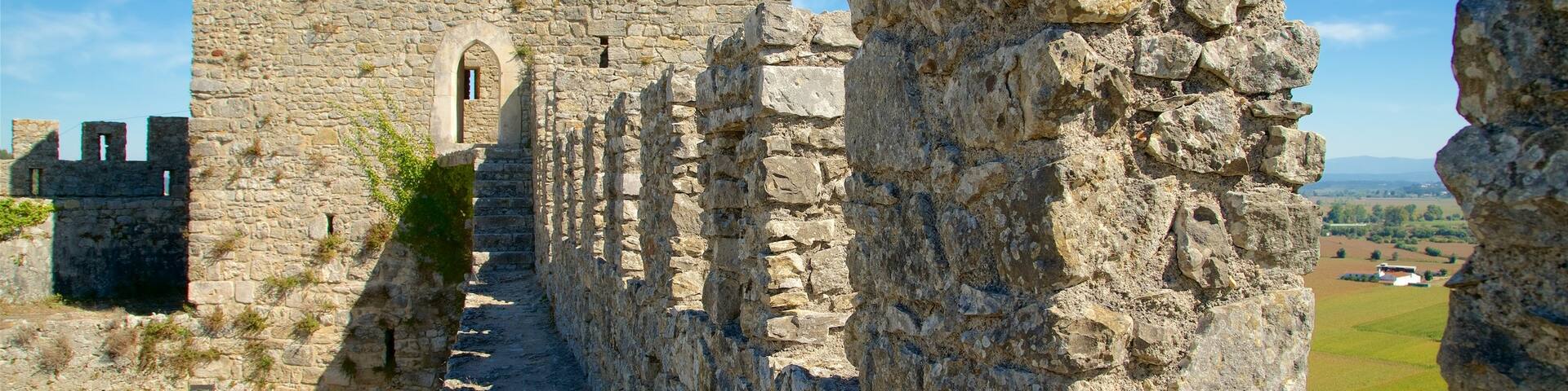 Montemor-o-Velho Castle qui includes patrimoine historique et chĂąteau ou palais