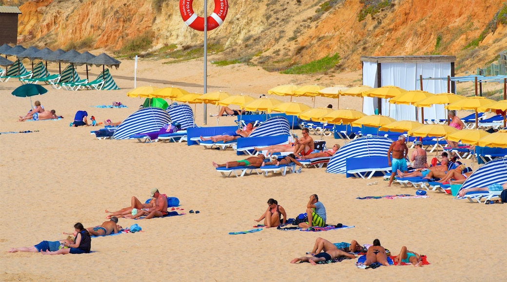 Playa de Gale que incluye una playa y vistas generales de la costa y también un pequeño grupo de personas