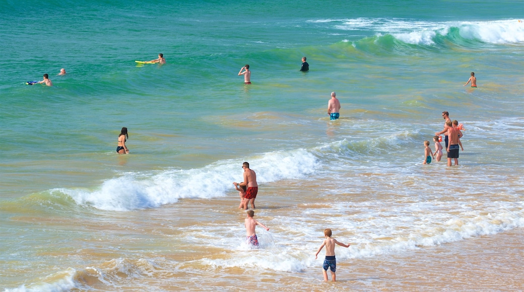 Spiaggia di Gale caratteristiche di nuoto, surf e vista della costa