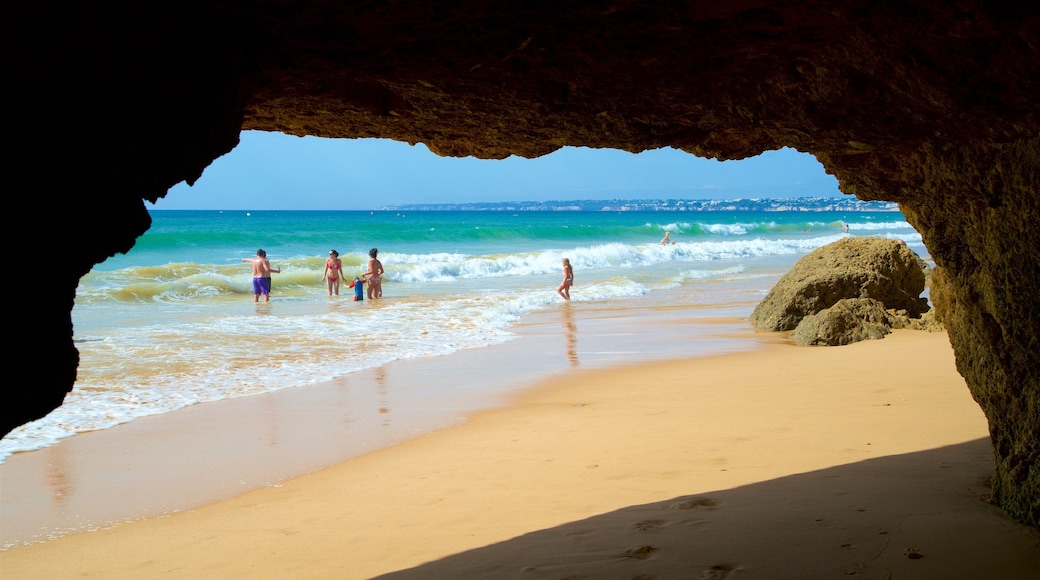 Gale Beach which includes a beach, swimming and general coastal views