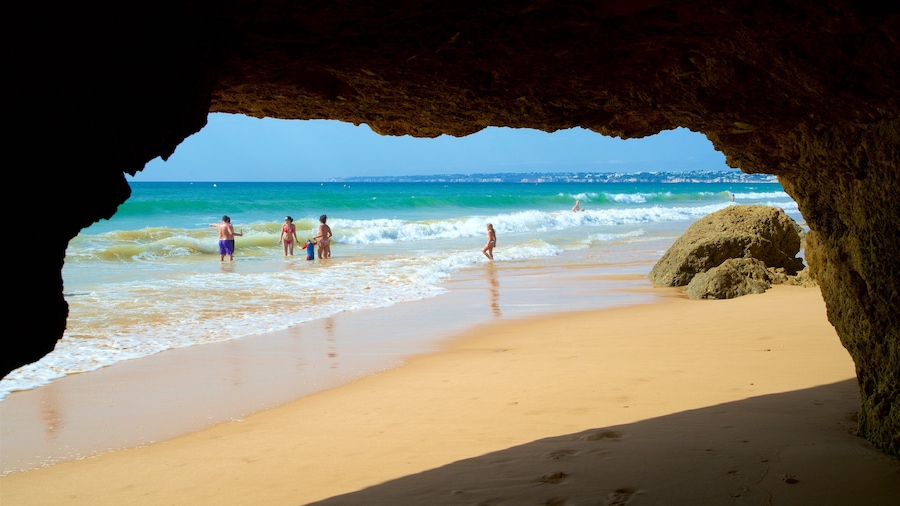 Gale Beach which includes a beach, swimming and general coastal views