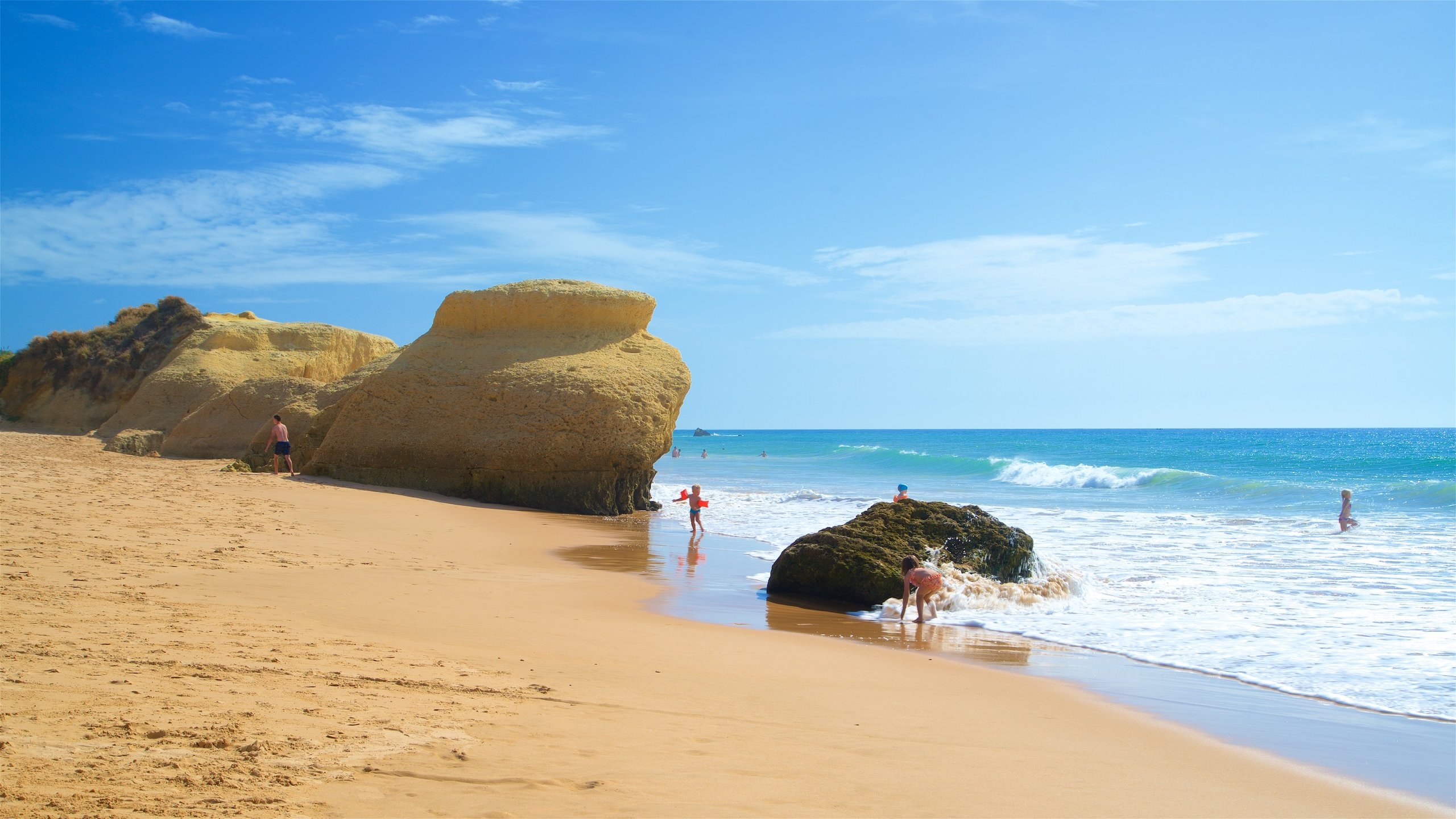 Gale Beach which includes a sandy beach, general coastal views and surf
