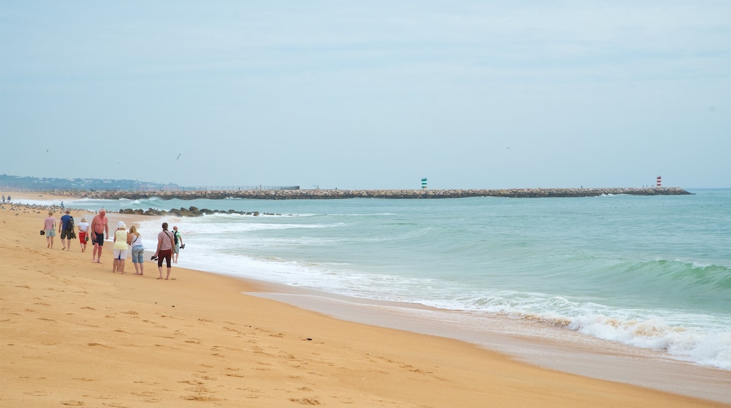 Marina Beach which includes a sandy beach and general coastal views as well as a small group of people