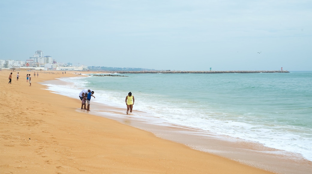 Marina Beach featuring a beach and general coastal views as well as a small group of people