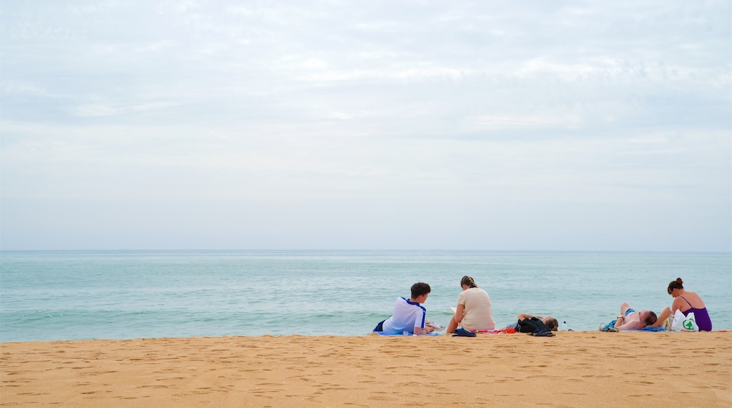 Marina Beach which includes a beach and general coastal views as well as a small group of people