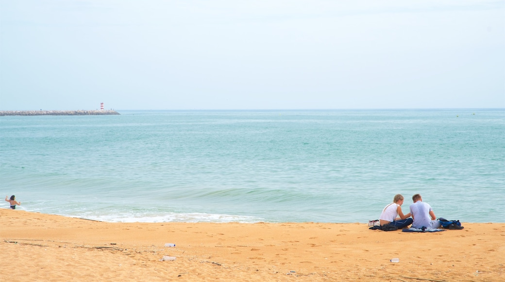 Marina Beach featuring a sandy beach and general coastal views as well as a small group of people