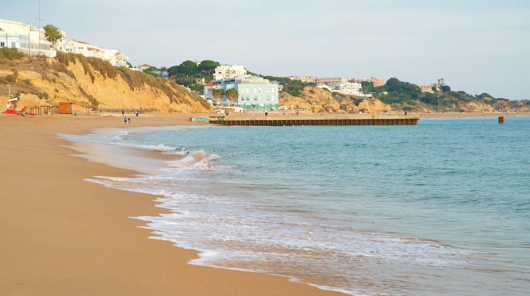Playa del pescador mostrando vistas generales de la costa, una playa de arena y una ciudad costera