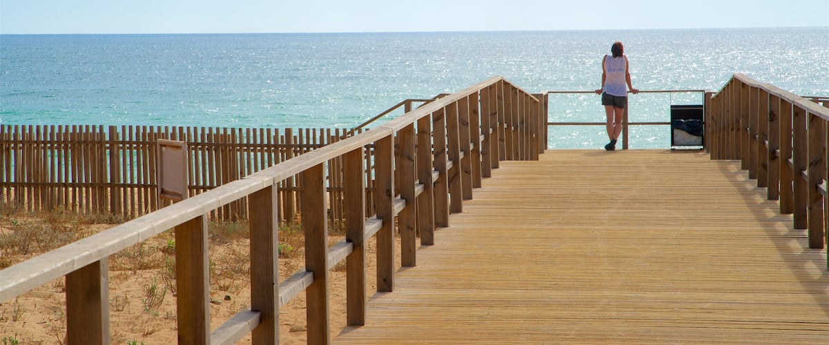 Praia dos Salgados mostrando uma ponte e paisagens litorâneas assim como uma mulher sozinha