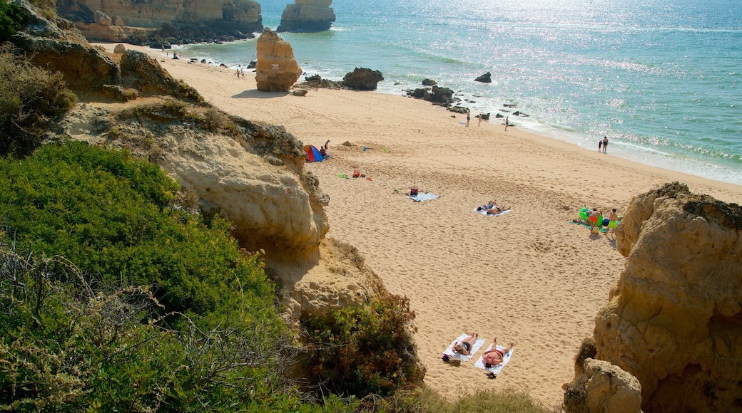 Playa de Coelha que incluye una playa de arena, costa escarpada y vista general a la costa