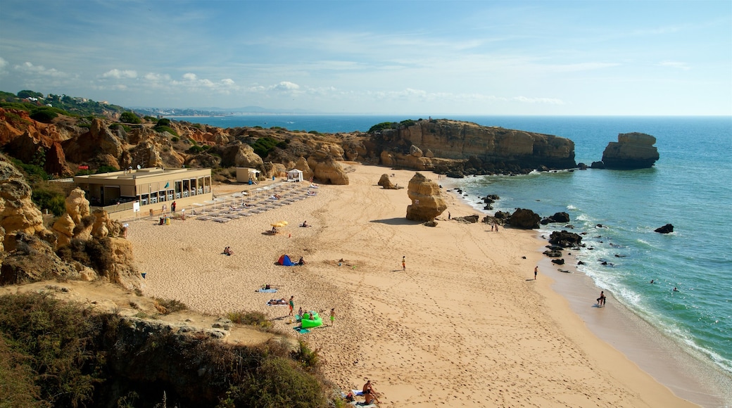 Coelha Beach which includes rugged coastline, a sandy beach and general coastal views