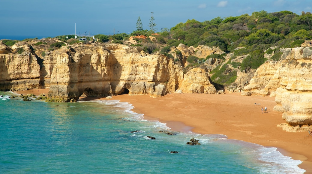 Praia da Coelha mostrando uma praia, paisagens litorâneas e litoral acidentado