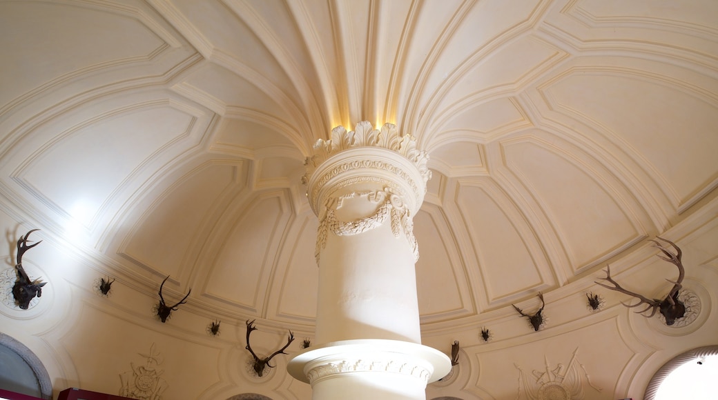 Pena Palace featuring heritage elements and interior views